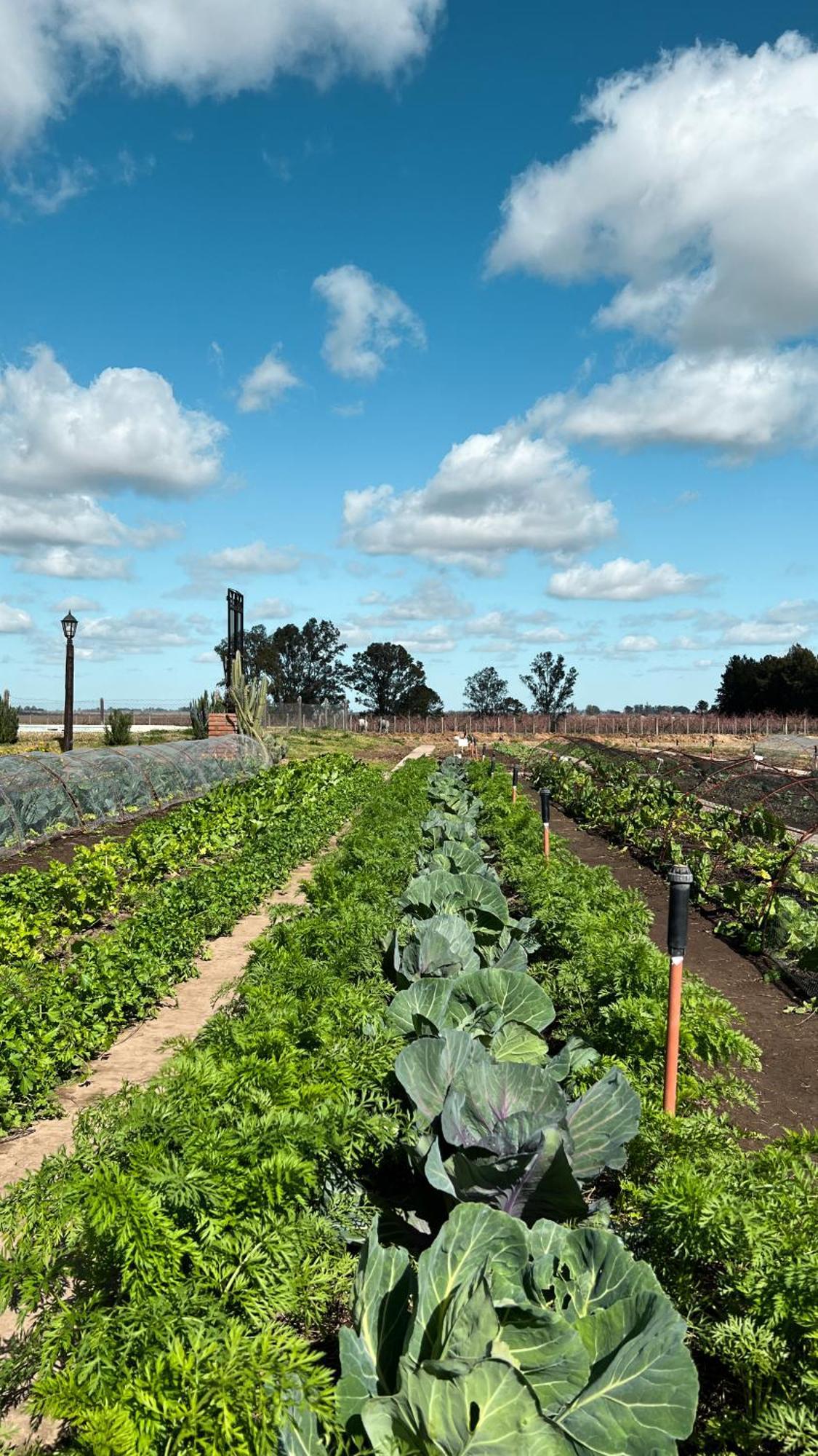 La Santina Posada & Experiencias De Campo Σαν Πέδρο Εξωτερικό φωτογραφία